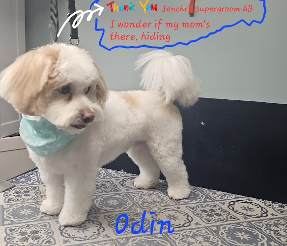 Jenchris Super Groom and Beyond