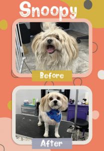 Ruffington’s Palace