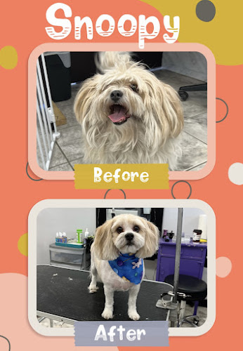 Ruffington’s Palace