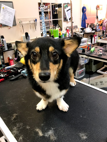 The Paw Pet Spa and Boutique