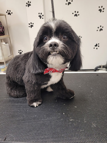 Kirsten’s Grooming