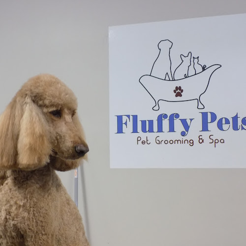Fluffy Pets