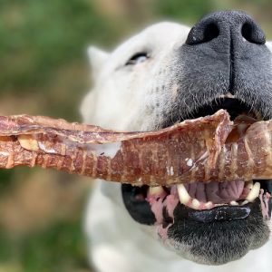 Naturaw Canine Food