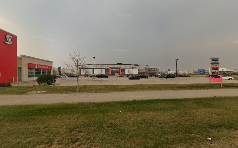 PetSmart Dog Training