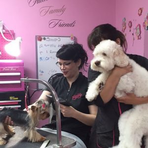 A Royal Touch Pooch Parlour Ltd.