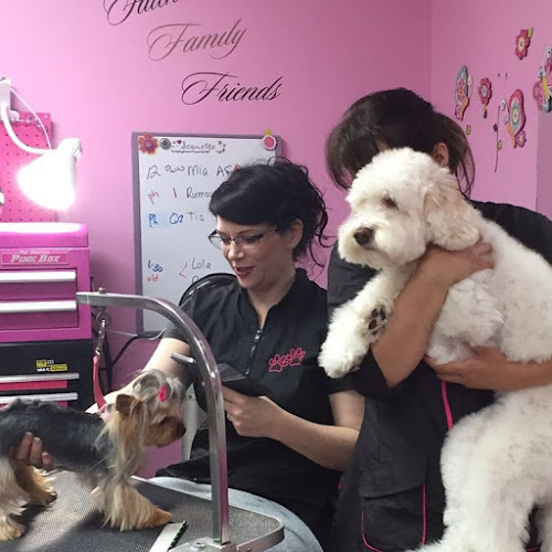 A Royal Touch Pooch Parlour Ltd.