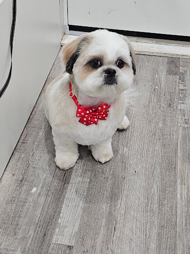 Harmony Dog Grooming