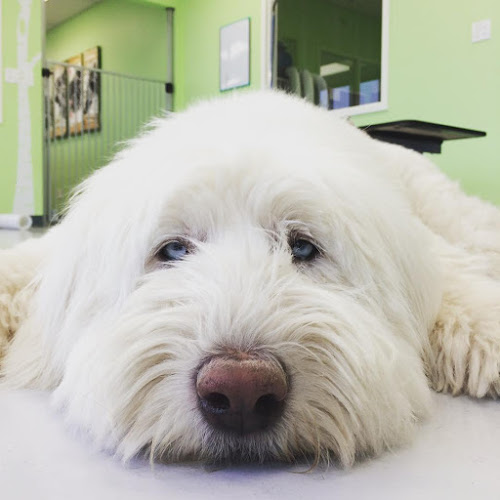 Muttley Crue Organics