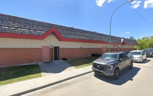 Sugar and Spice Pet Grooming