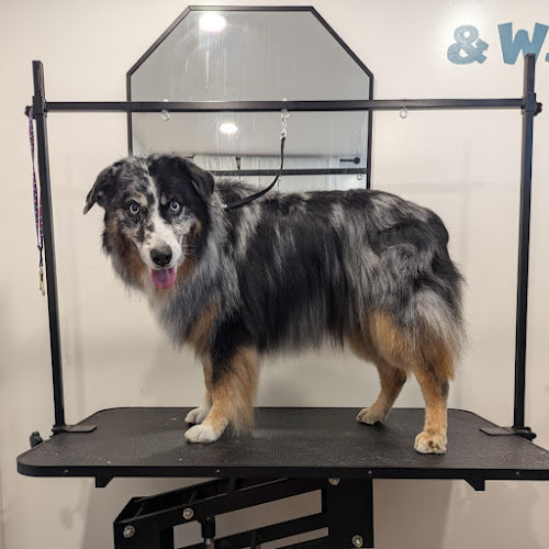 Wiggles & Washes Pet Grooming