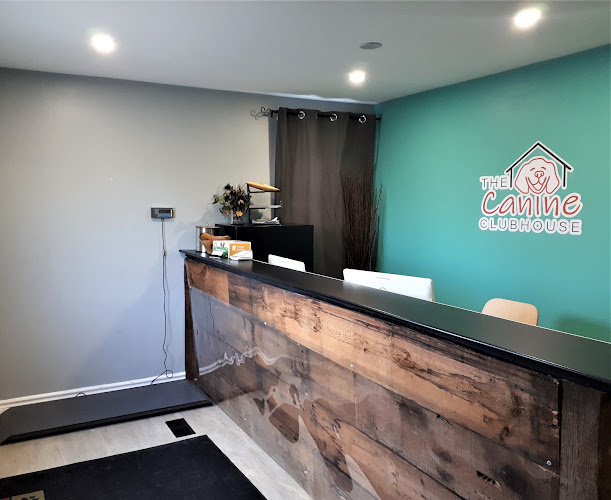 The Canine Clubhouse