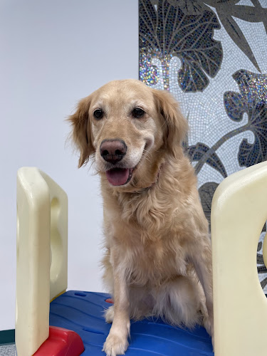 Pet Paradise Inc. (Edmonton)