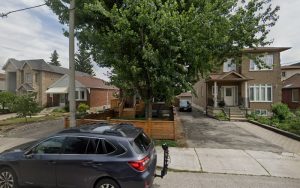 Dogs In Motion – Toronto Dog Walker