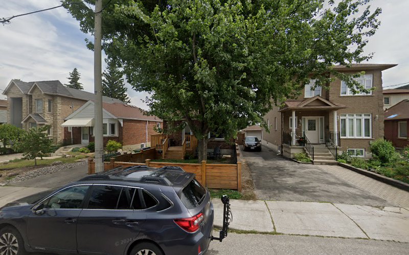 Dogs In Motion – Toronto Dog Walker