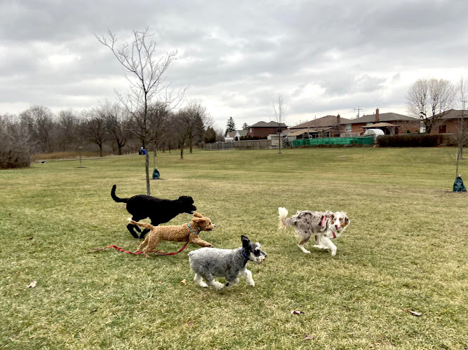 PawPal Adventures Pet Services