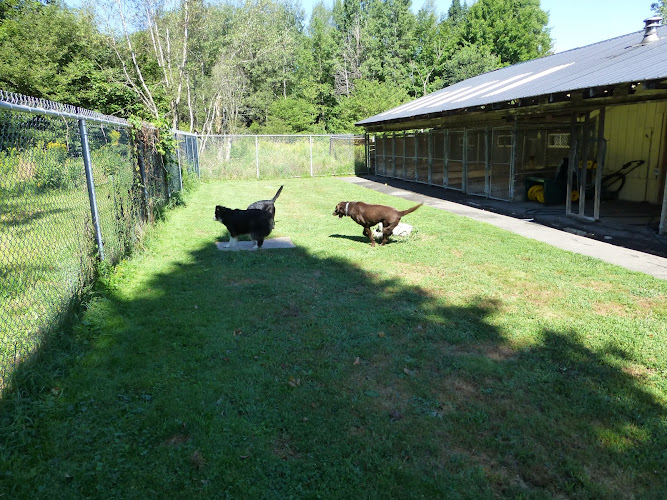 Chenil Lac Brome Kennel