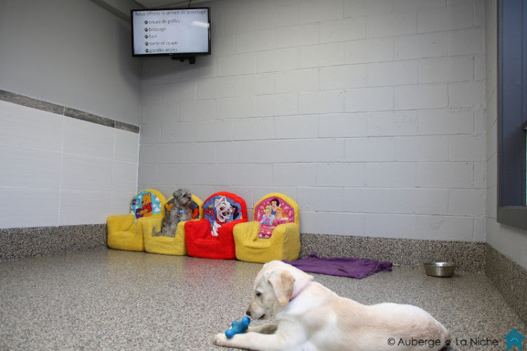 Auberge La Niche – Pension Canine de l’Estrie