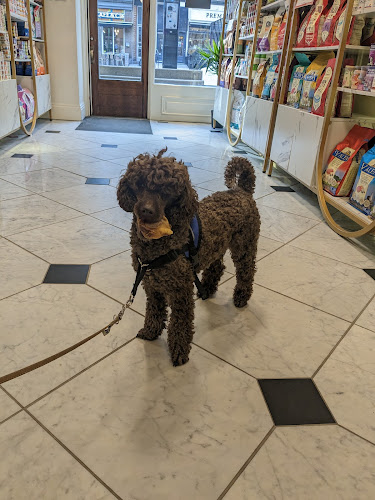 Pawparazzi d’animaux