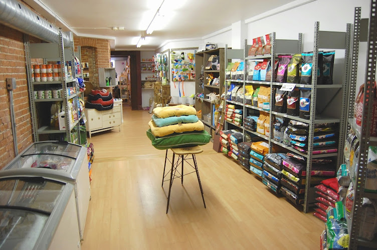 Animal vert l’épicerie pour animaux