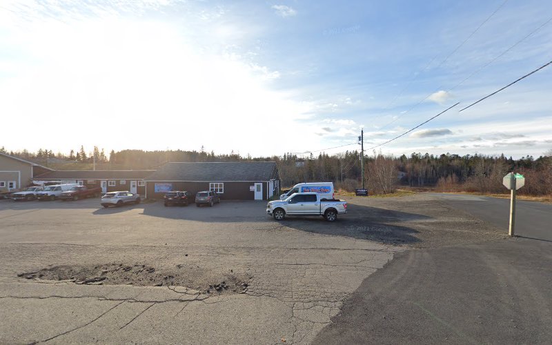 Paws Matter Grooming