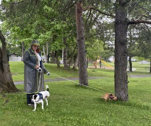 Pet Haven