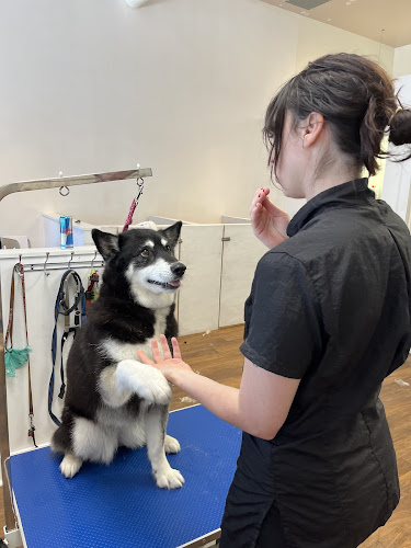 KAYLA’S DOG GROOMING