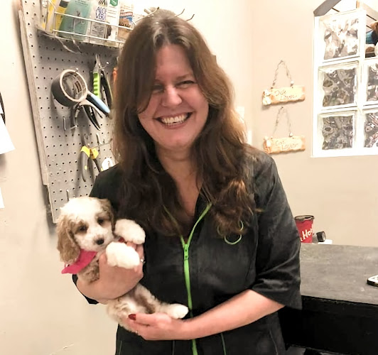 Pet Agree – Dog Daycare, Cat Boarding and Pet Grooming