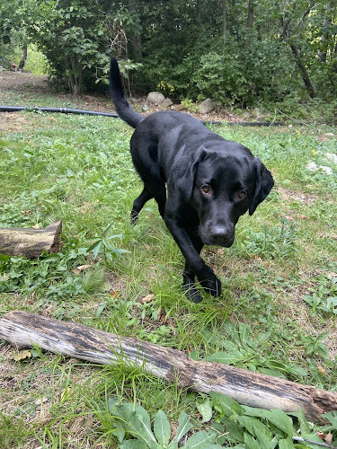 Nature Calls, Tillsonburg