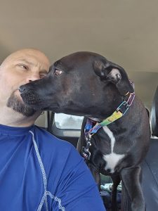 K9 Connexion Dog Training