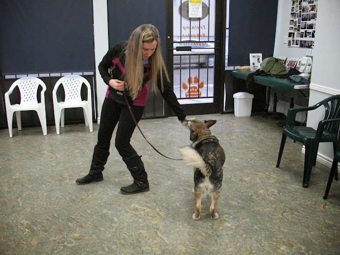 Puppy Power Dog Training – Boarding & Daycare Location