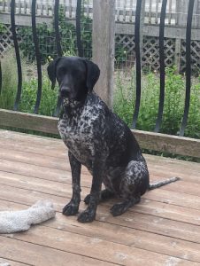 ValleyGSP