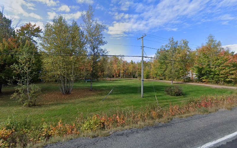 Dee’s Dog Day Afternoon