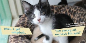 Oasis Animal Rescue And Education Center