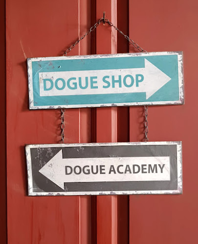 Dogue Academy
