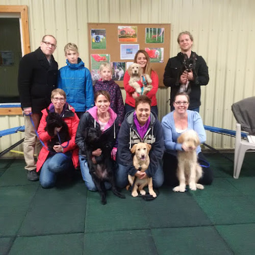 Montessaurus Puppy School