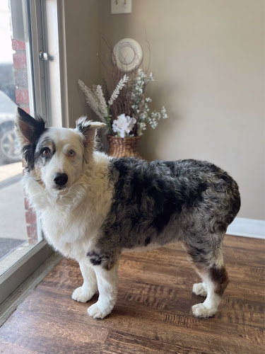 Happy Tails Boutique