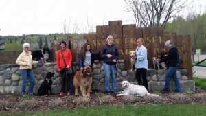 Fit Pets Dog Sports Association