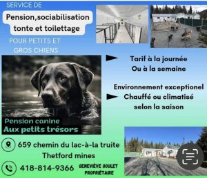 Pension canine aux petits trésors