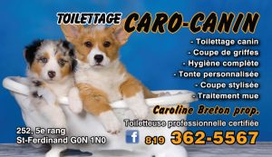 Toilettage Caro-Canin