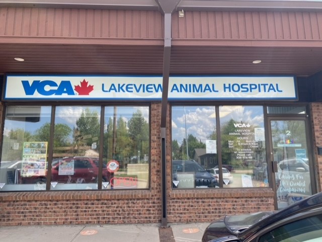 VCA Canada Lakeview Animal Hospital