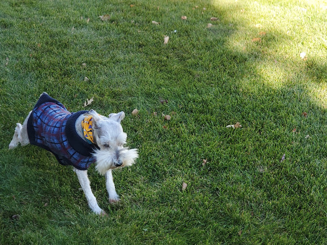 Stonebridge Veterinary Hospital