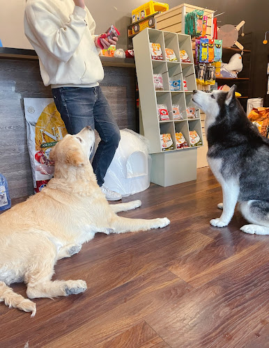 JuicyPet Grooming & Design Burnaby