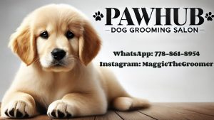 PawHub Dog Grooming