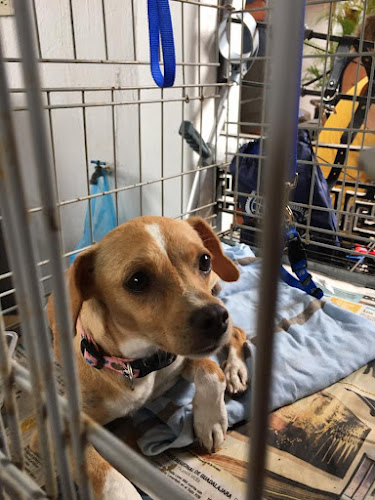 South Burnaby Veterinary Hospital