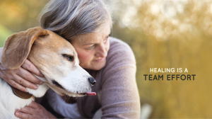 Hastings Veterinary Hospital