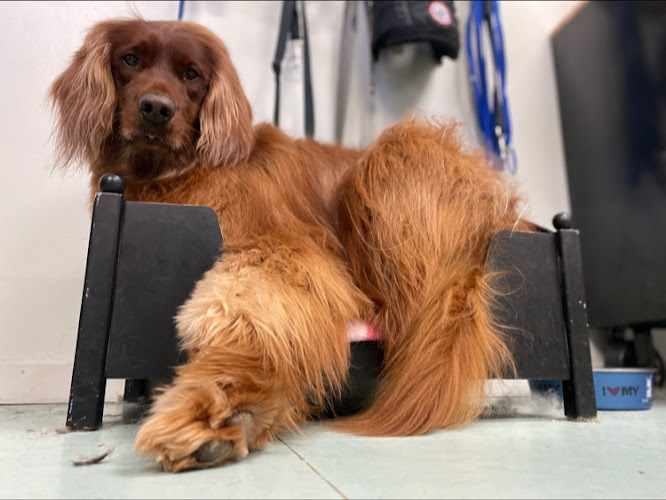 The Barker Barber Inc