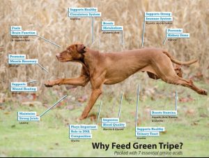 Atlantic Pets Canada