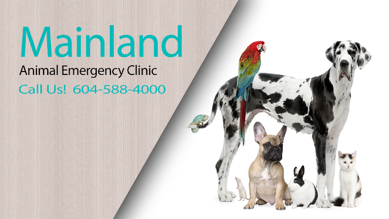Mainland Animal Emergency Clinic Surrey