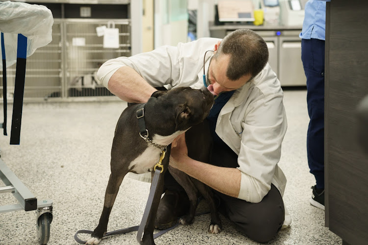 Boundary Bay Veterinary Specialty Hospital