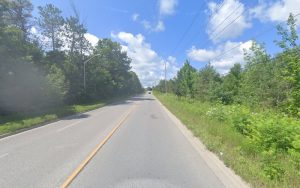 PetSmart Dog Training